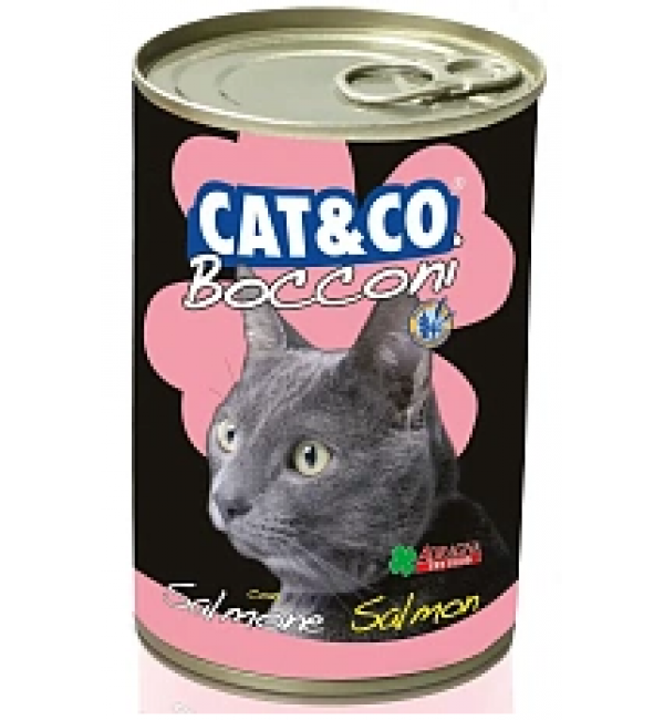 Консервы для кошек Adragna Cat&Co Salmone кусочки лосося в соусе, 405г
