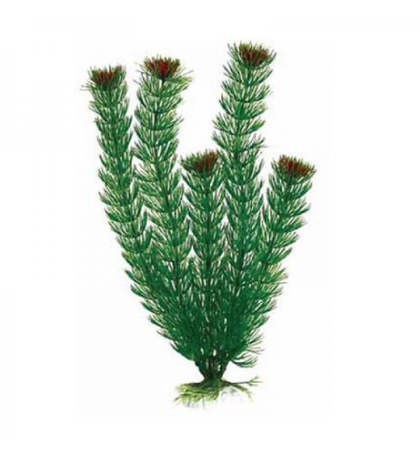 Пластиковое растение Barbus Plant 002 - Амбулия ЗЕЛЕНАЯ, 10см