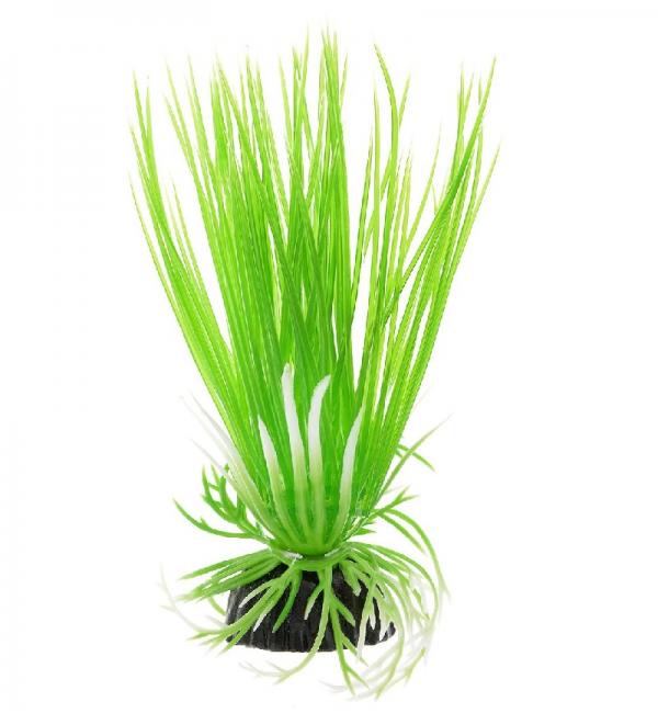 Пластиковое растение Barbus Plant 007 - Акорус ЗЕЛЕНЫЙ, 10см