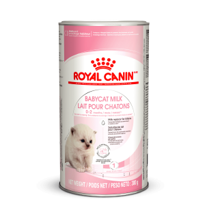 Сухое молоко для котят Royal Canin Babycat Milk (0,3 кг)