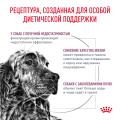 Сухой корм ROYAL CANIN Renal Canin диета для собак с хронической почечной недостаточностью (14 кг) Сухой корм ROYAL CANIN Renal Canin диета для собак с хронической почечной недостаточностью (14 кг)