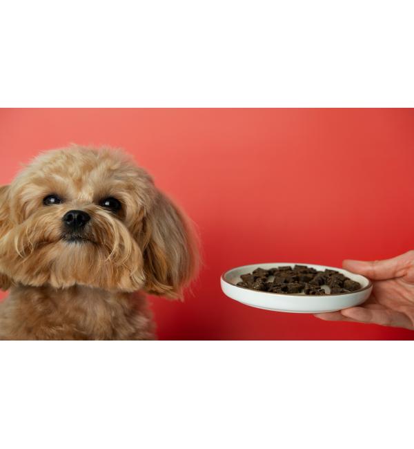 article-image