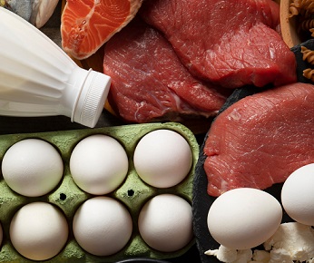 аллергенные продукты для собак